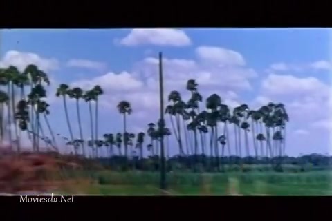 Katta Pachayathu Single Part (480x320).mp4