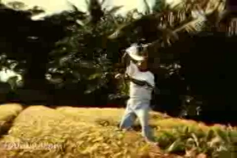 Mappillai Part-3.mp4