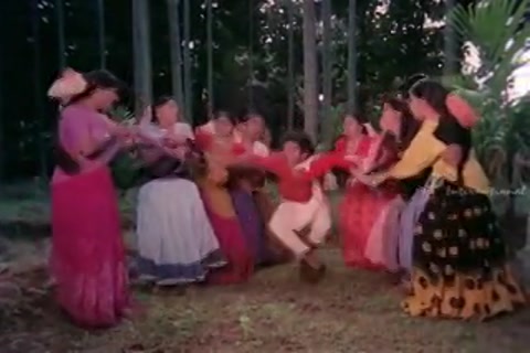 Shankar Guru Sample.mp4