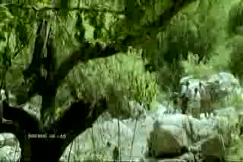 Vanayutham Sample.mp4